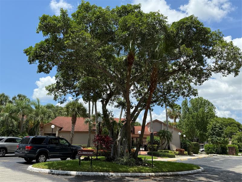 Image 4 of 26 For 2768 Carambola Cir S  206