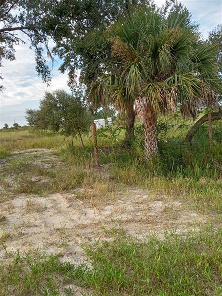 Image 4 of 6 For 17925 316th Street