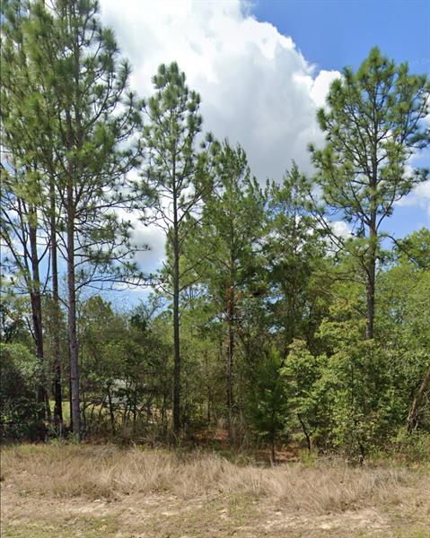 Details for 3808 Indian Rock Pl, Citrus Springs, FL 34433