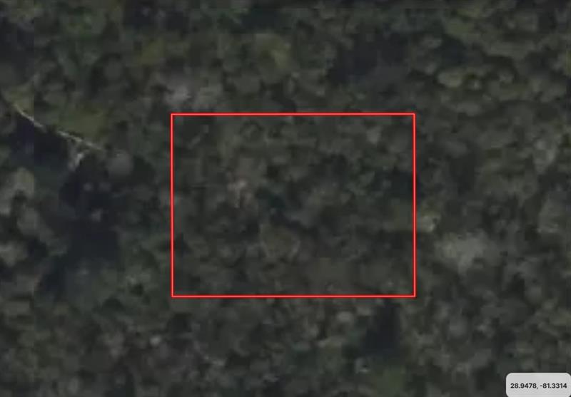 Details for 0 Riegel Paper, Orange City, FL 32763