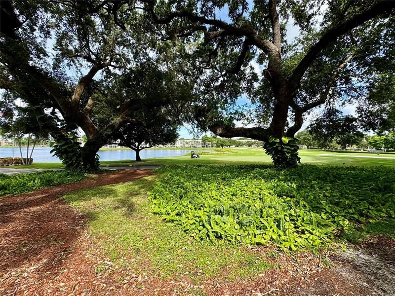 Image 16 of 20 For 9311 Orange Grove Dr  204