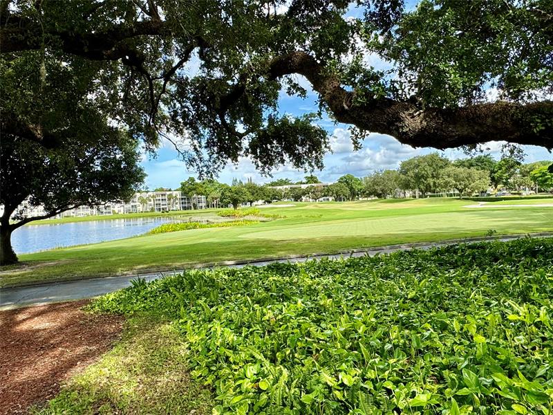 Image 17 of 20 For 9311 Orange Grove Dr  204