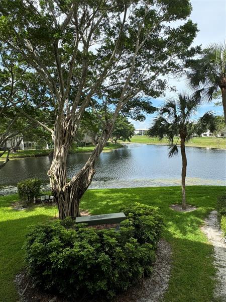 Image 4 of 20 For 9311 Orange Grove Dr  204