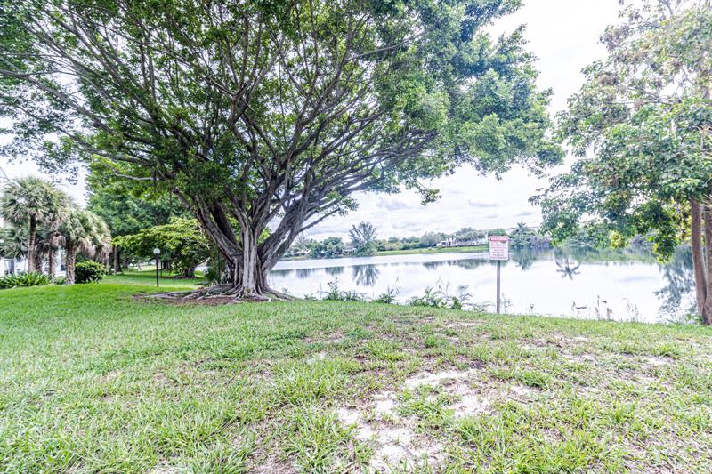 Image 20 of 21 For 3280 Spanish Moss Ter  307