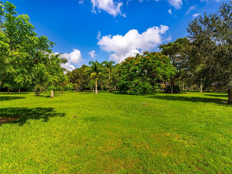 Image 36 of 39 For 6556 87th Ave