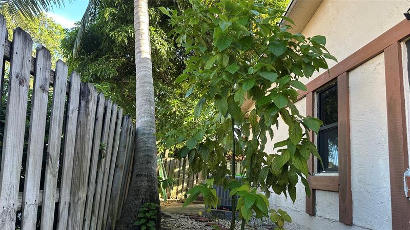Image 38 of 38 For 6314 29th Ct  6314