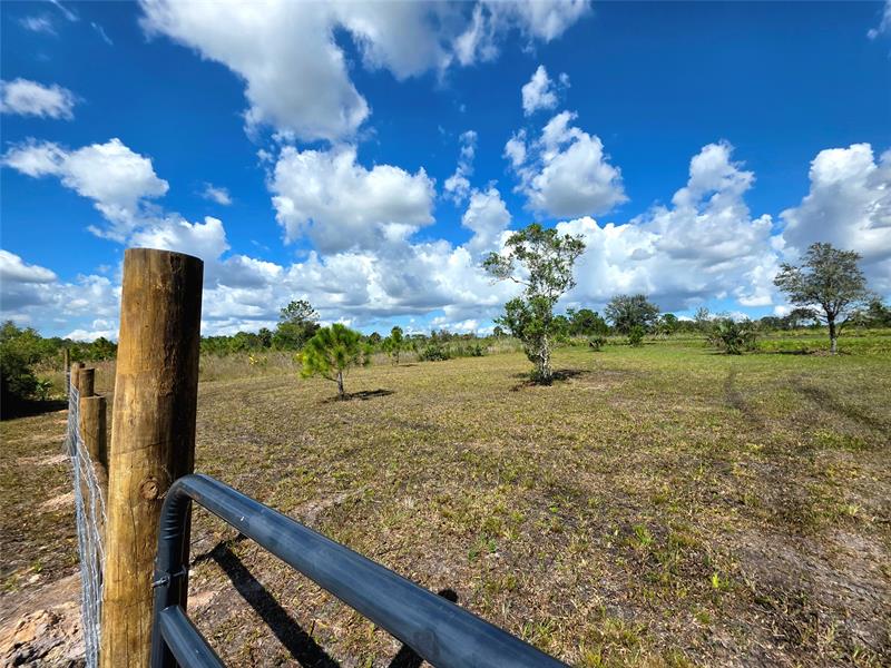 Image 6 of 8 For 17019 296th St