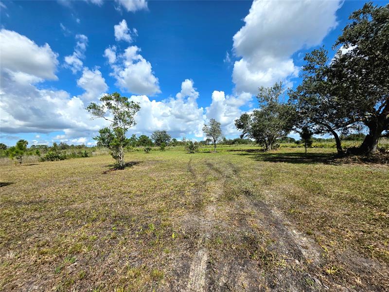 Image 7 of 8 For 17019 296th St