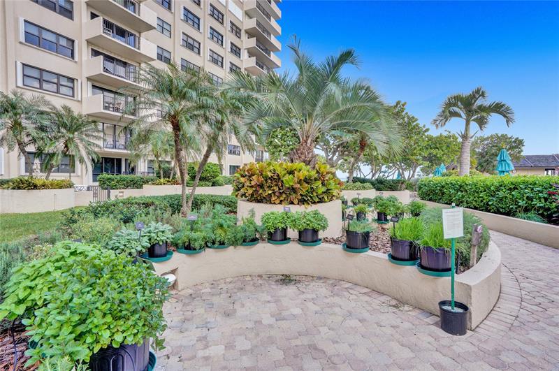 Image 47 of 55 For 4900 Ocean Blvd  317