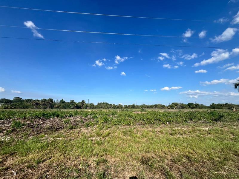 Image 4 of 4 For 352 Phoenix Ter