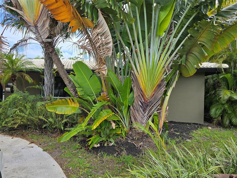 Image 3 of 29 For 425 24th St  