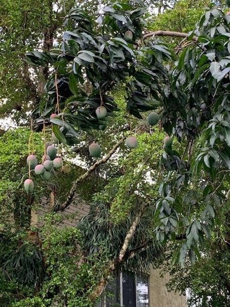 Image 25 of 27 For 8398 35th St