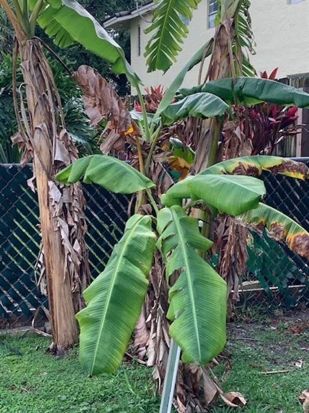 Image 26 of 27 For 8398 35th St