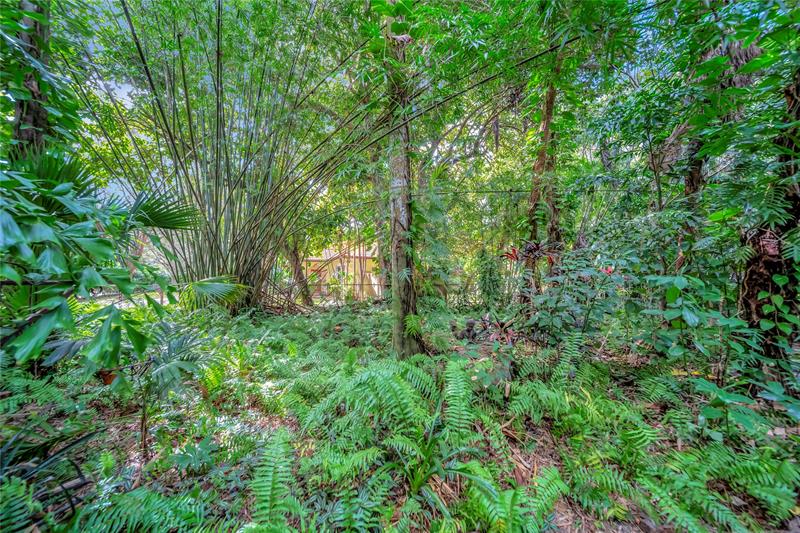 Image 52 of 72 For 5900 Cypress Rd