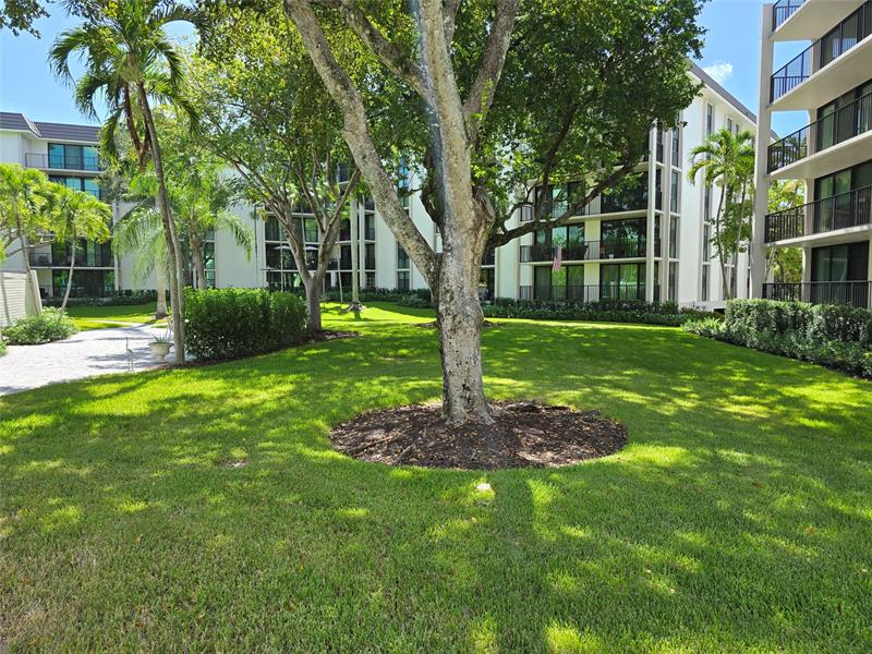 Image 35 of 42 For 1201 River Reach Dr  416