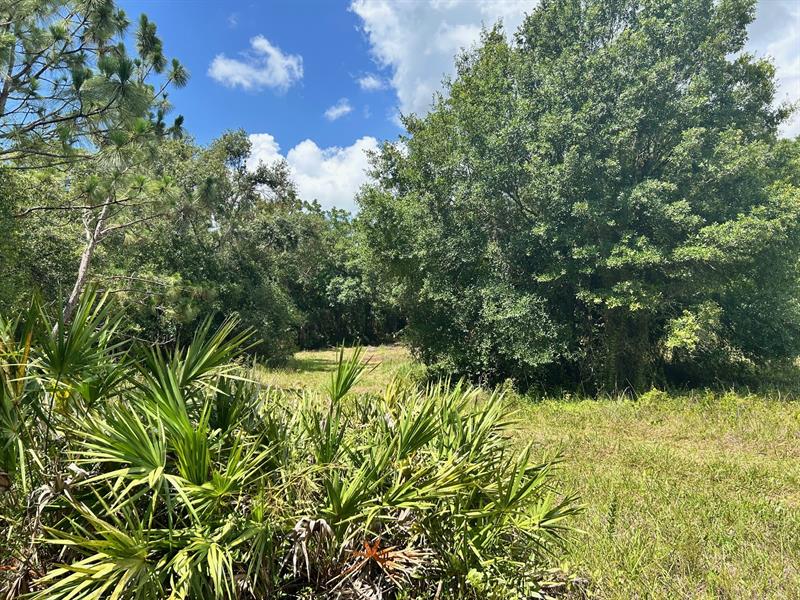 Image 5 of 6 For 690 144th Dr