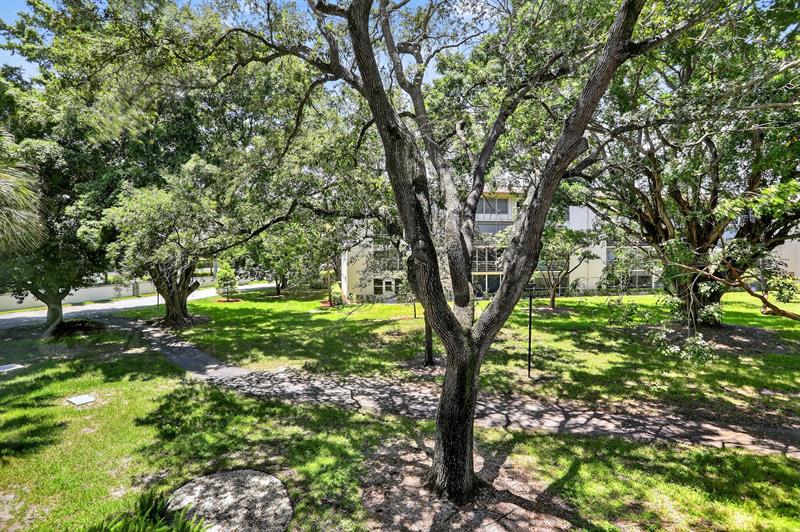 Image 21 of 50 For 2403 Antigua Cir  B2