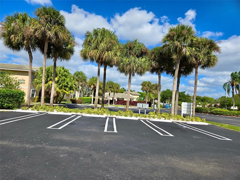 Image 19 of 21 For 12249 Royal Palm Blvd  5o
