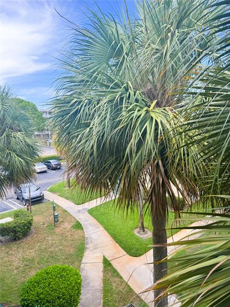 Image 7 of 12 For 977 Riverside Dr  232