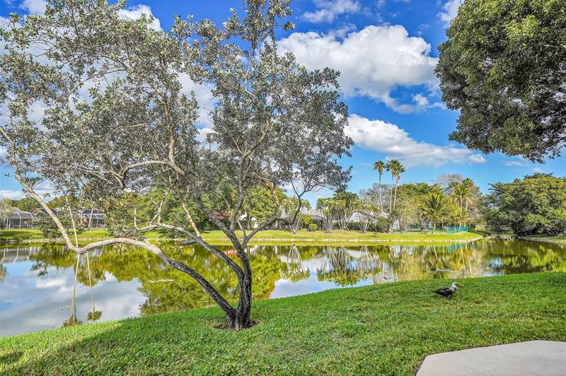 Image 27 of 27 For 11441 39th Ct  218