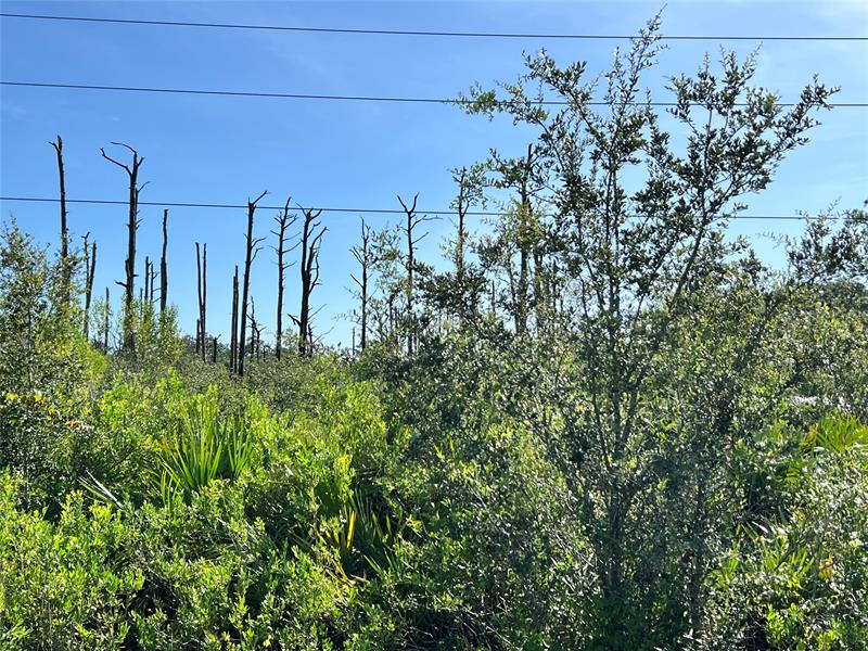Details for 34964 Us Highway 441, Okeechobee, FL 34972
