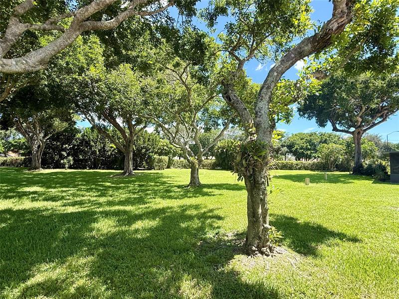 Image 21 of 48 For 10952 Roebelini Palm Ct  B
