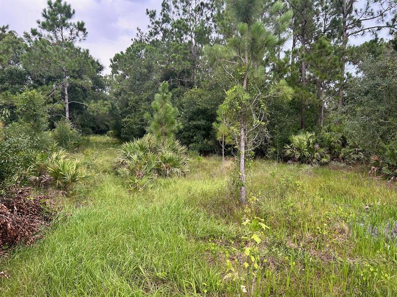 Image 5 of 5 For 640 144th Dr