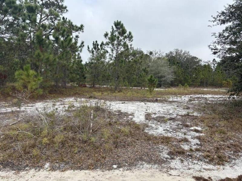 Details for 2922 W Perry Rd, Avon Park, FL 33825