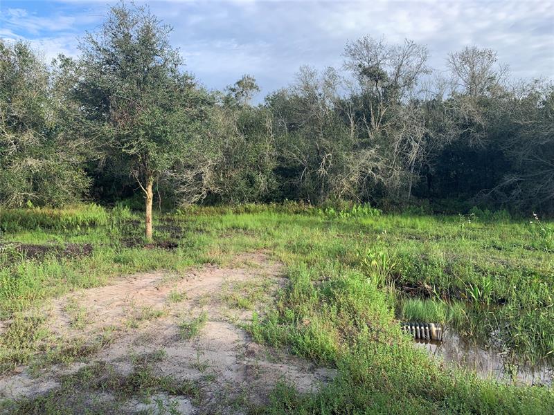 Details for 19079 240th St, Okeechobee, FL 34972