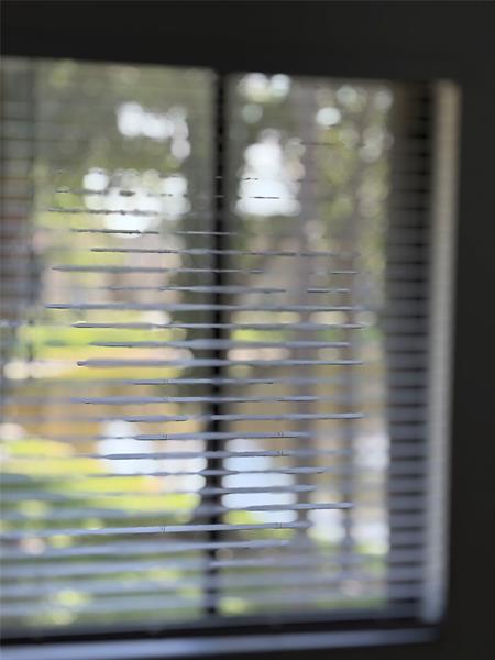 Image 7 of 22 For 711 Sunny Pine Way  B-2