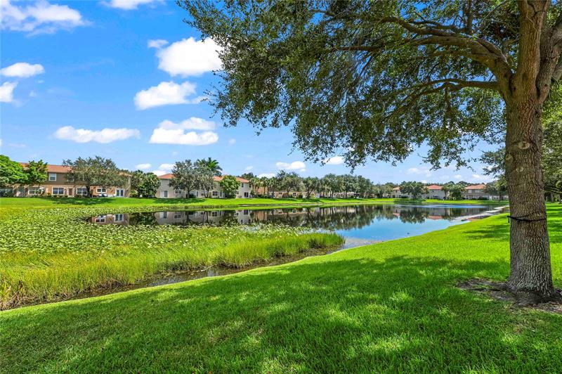 Image 25 of 28 For 4405 Macarthur Palm Trl  4505