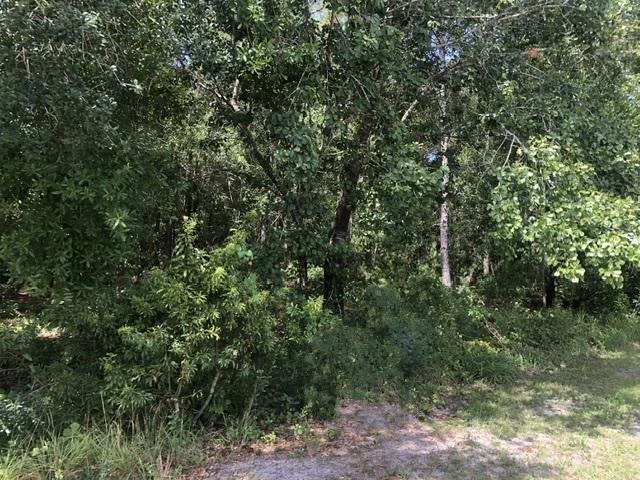 Details for 2345 Yucca Rd, Avon Park, FL 33825