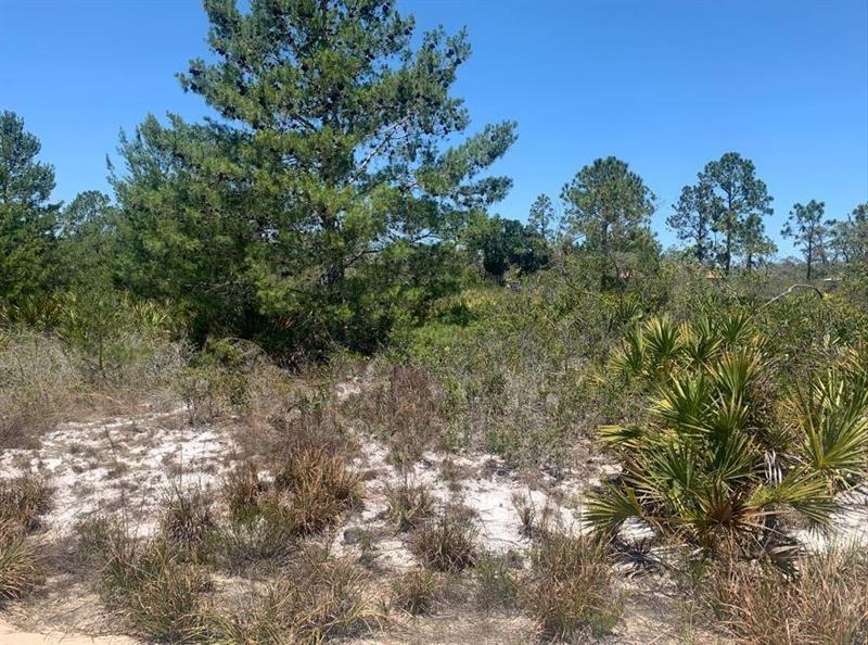 Details for 2918 Gaffney Rd, Avon Park, FL 33825
