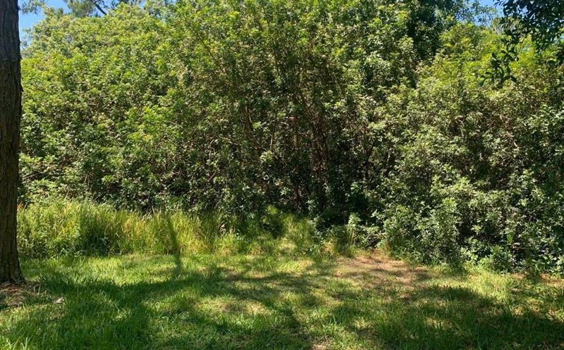 Details for 1956 Tanager Rd, Avon Park, FL 33825