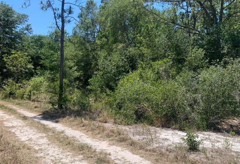 Details for 2649 Todd Rd, Avon Park, FL 33825