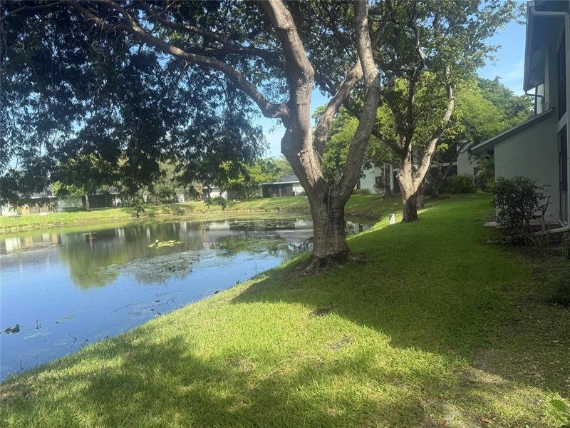 Image 26 of 40 For 3993 Carambola Cir  2998