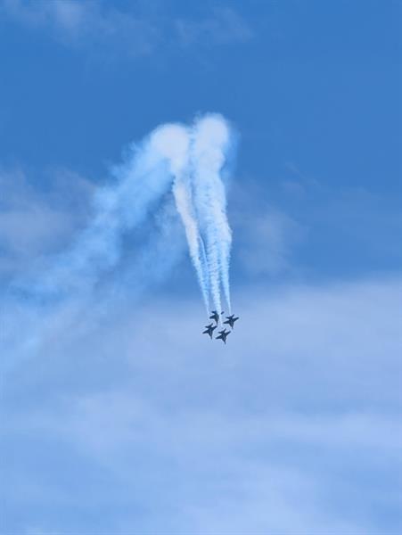 Image 16 of 43 For 3100 49th St  Ph10