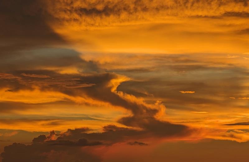 Image 38 of 43 For 3100 49th St  Ph10