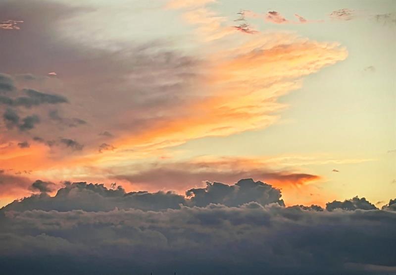 Image 39 of 43 For 3100 49th St  Ph10