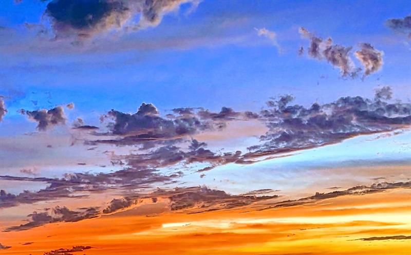 Image 40 of 43 For 3100 49th St  Ph10