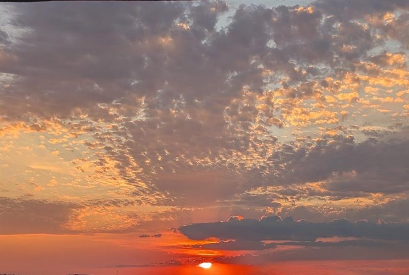 Image 41 of 43 For 3100 49th St  Ph10