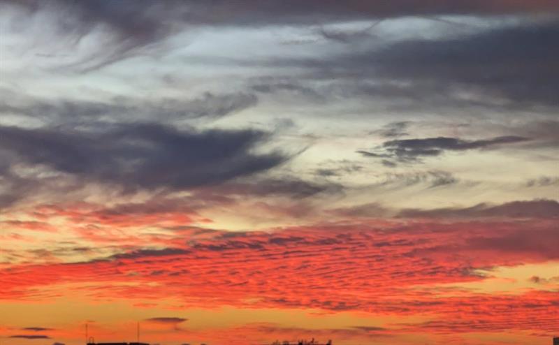 Image 42 of 43 For 3100 49th St  Ph10