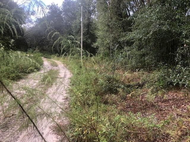 Details for 127 Sharon Drive, Satsuma, FL 32189