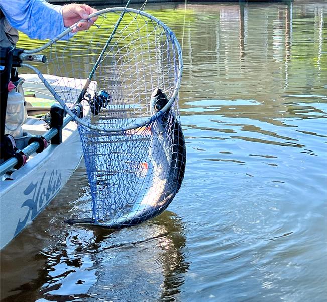 Image 64 of 98 For 144 Cochise Ct