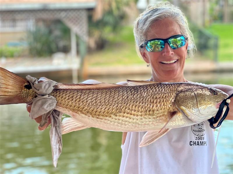 Image 67 of 98 For 144 Cochise Ct