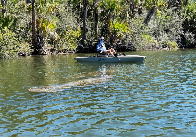 Image 68 of 98 For 144 Cochise Ct