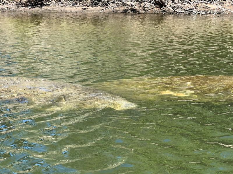 Image 69 of 98 For 144 Cochise Ct