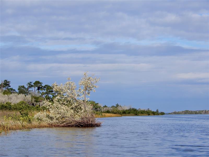 Image 78 of 98 For 144 Cochise Ct