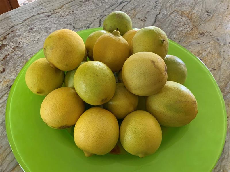 Image 84 of 98 For 144 Cochise Ct