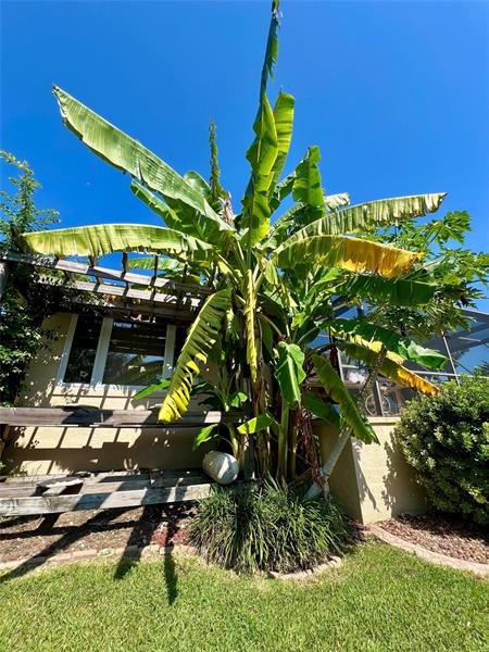 Image 86 of 98 For 144 Cochise Ct